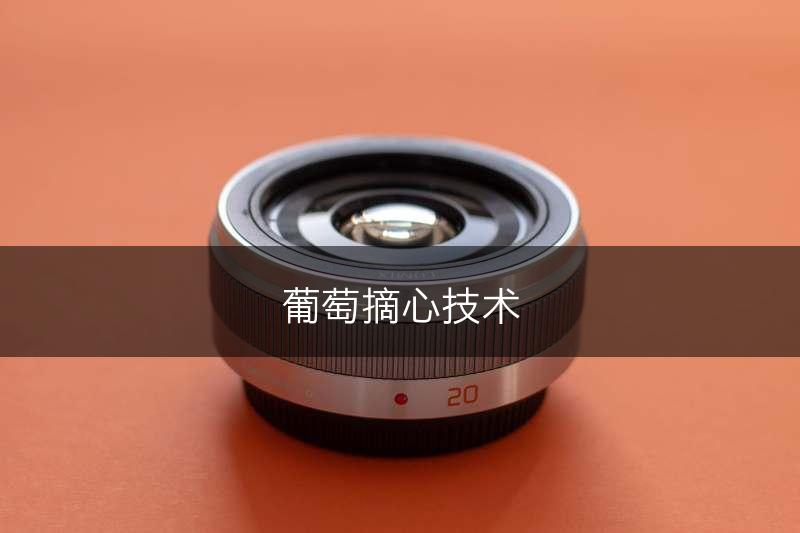 葡萄摘心技术(图1)