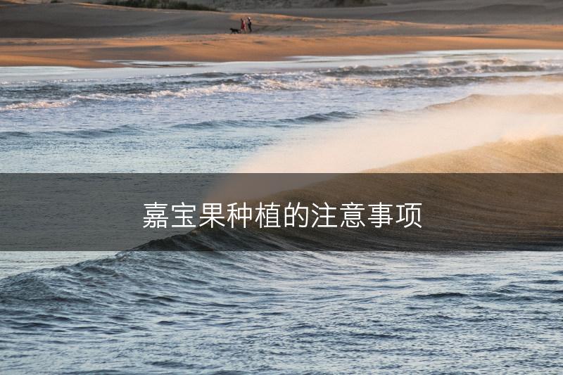 嘉宝果种植的注意事项(图1)