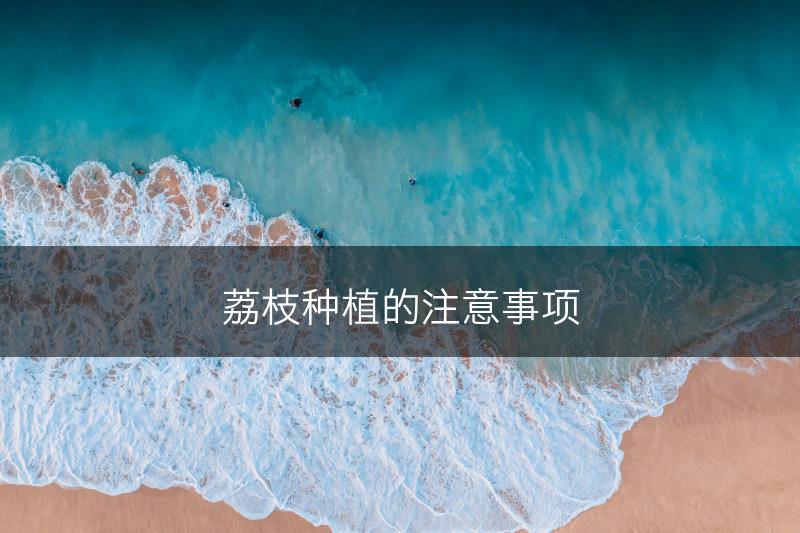 荔枝种植的注意事项(图1)