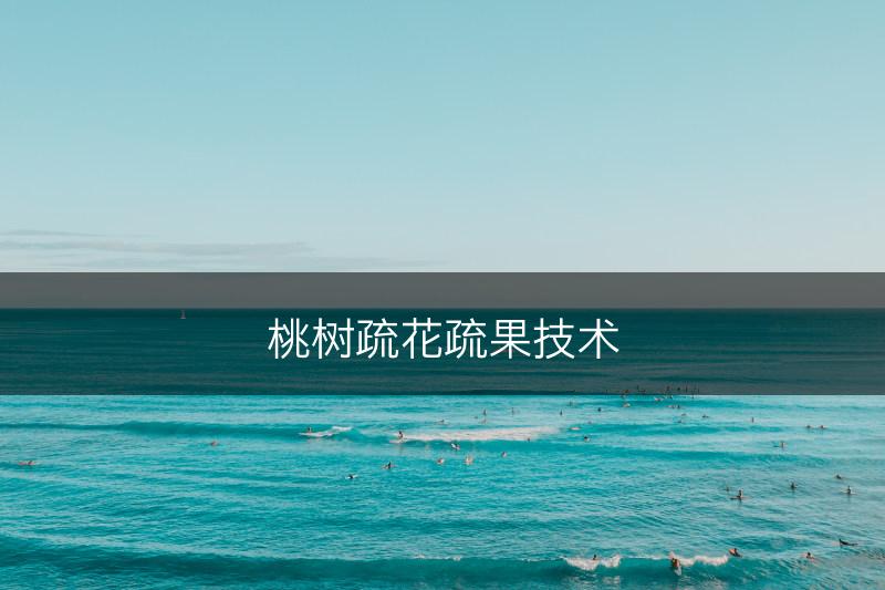 桃树疏花疏果技术(图1)