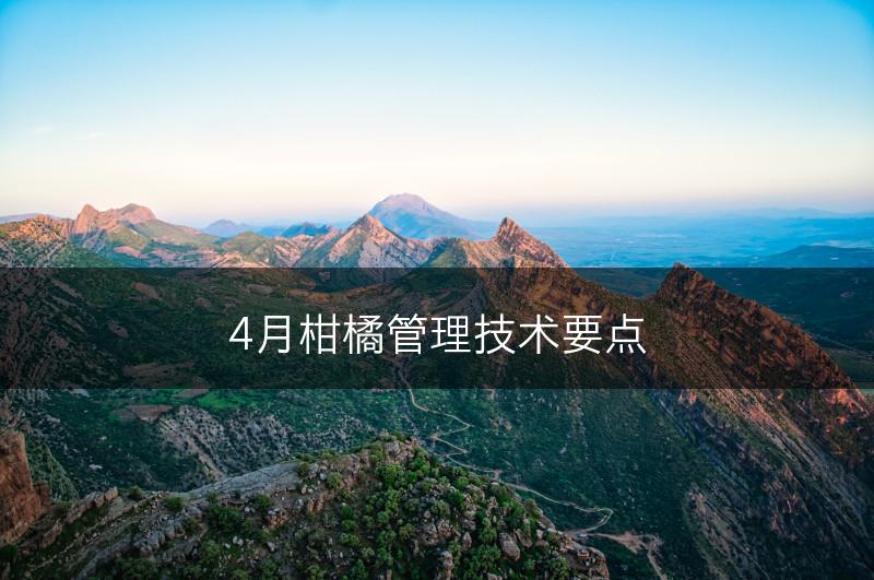 4月柑橘管理技术要点(图1)