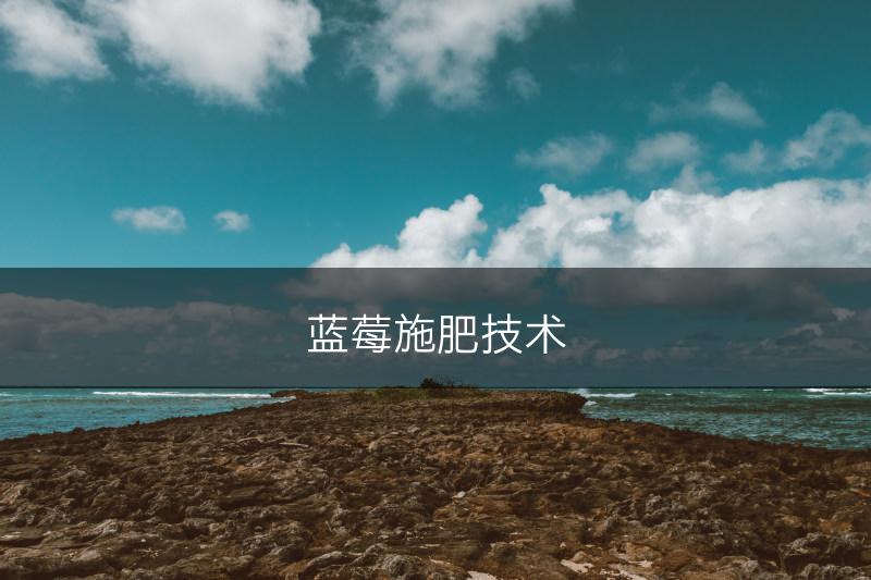 蓝莓施肥技术(图1)