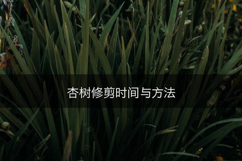 杏树修剪时间与方法(图1)