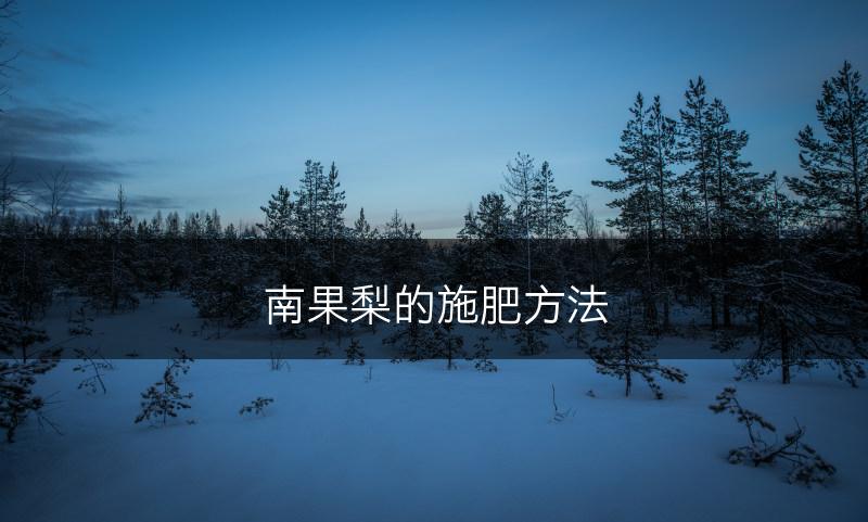 南果梨的施肥方法(图1)