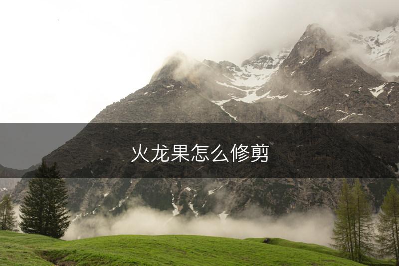 火龙果怎么修剪(图1)
