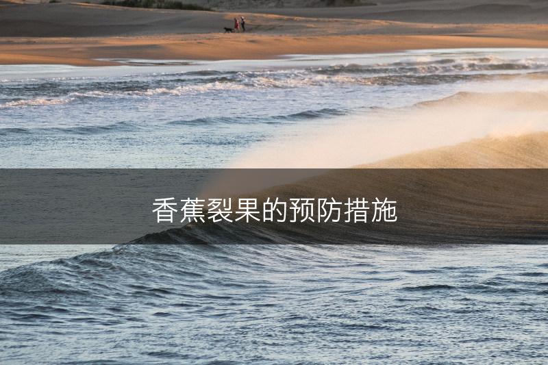 香蕉裂果的预防措施(图1)