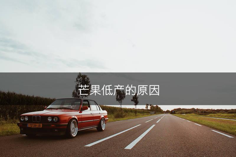 芒果低产的原因(图1)