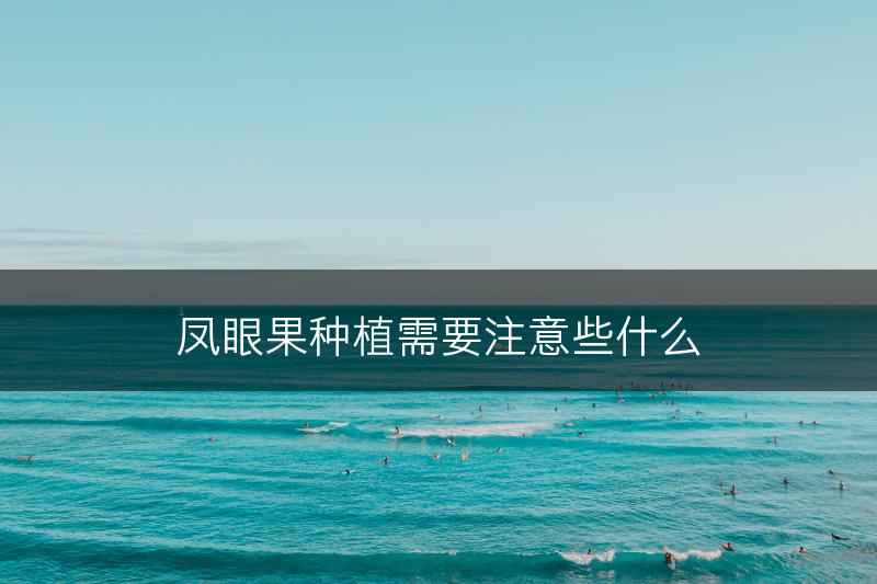 凤眼果种植需要注意些什么(图1)
