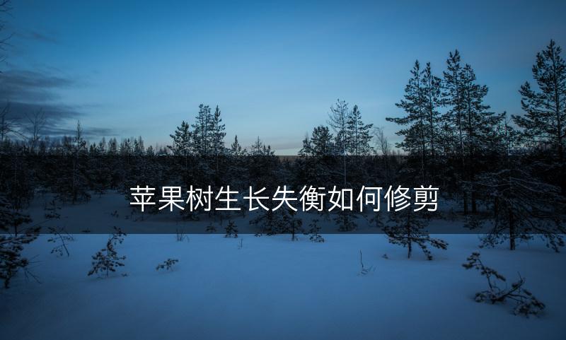 苹果树生长失衡如何修剪(图1)