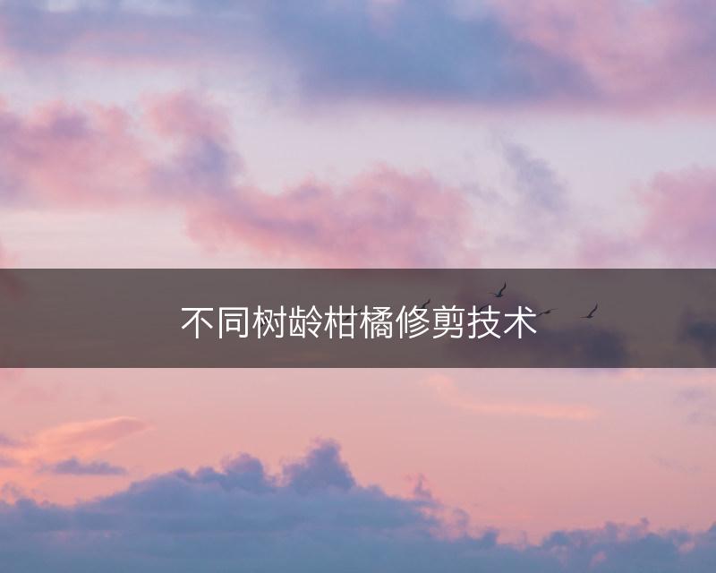 不同树龄柑橘修剪技术(图1)
