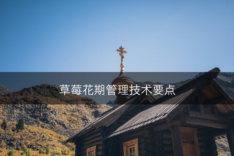 草莓花期管理技术要点(图1)