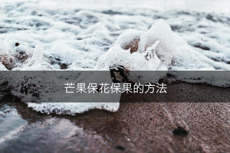 芒果保花保果的方法(图1)