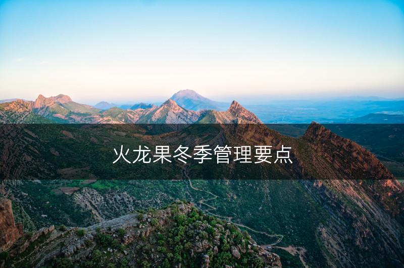 火龙果冬季管理要点(图1)