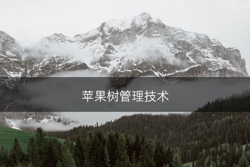 苹果树管理技术(图1)