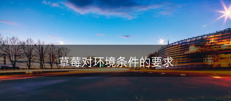 草莓对环境条件的要求(图1)