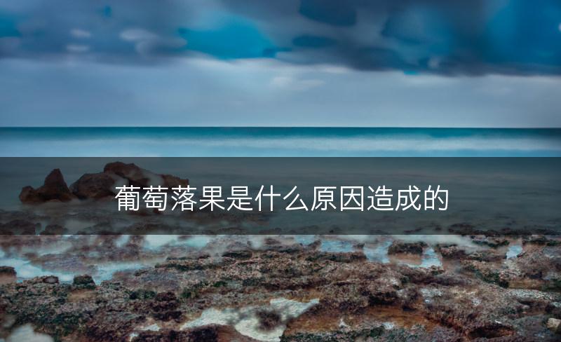 葡萄落果是什么原因造成的(图1)