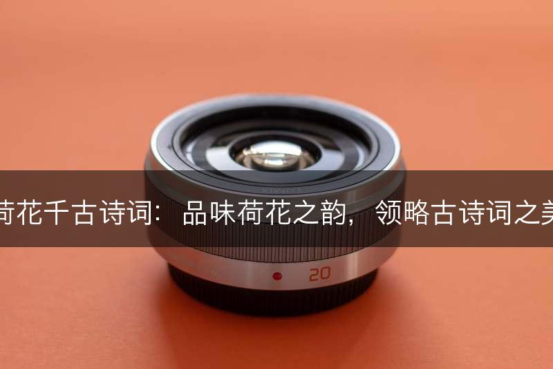 荷花千古诗词：品味荷花之韵，领略古诗词之美(图1)