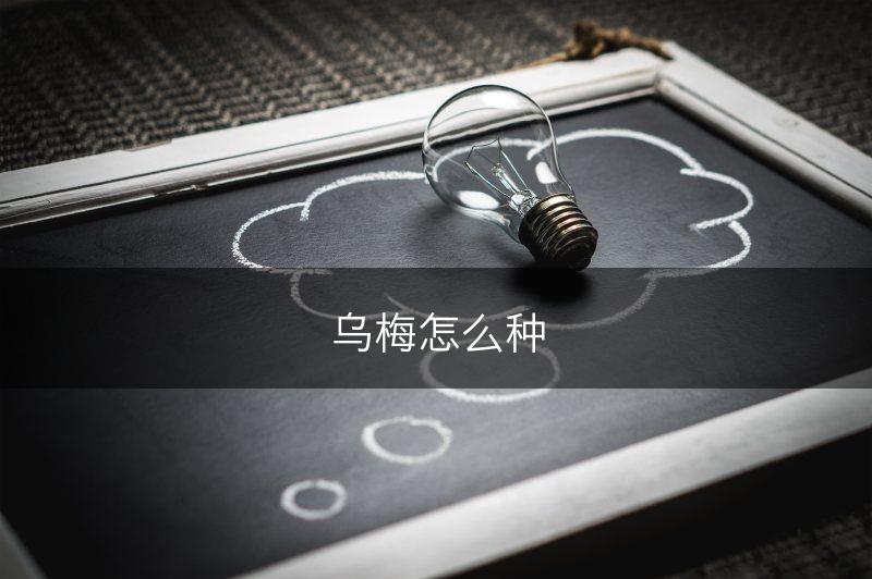乌梅怎么种(图1)