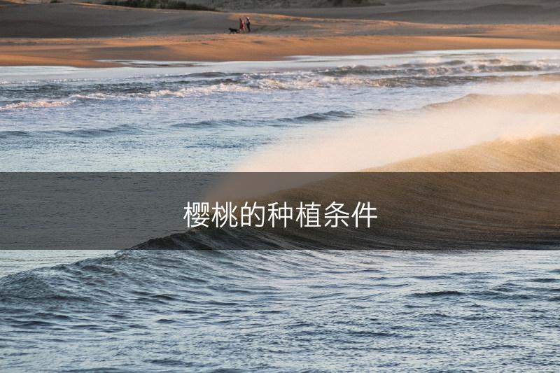 樱桃的种植条件(图1)