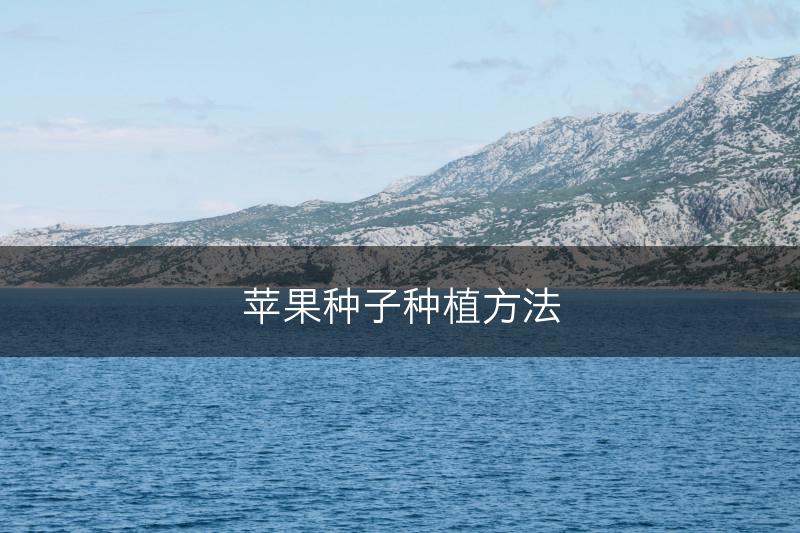 苹果种子种植方法(图1)