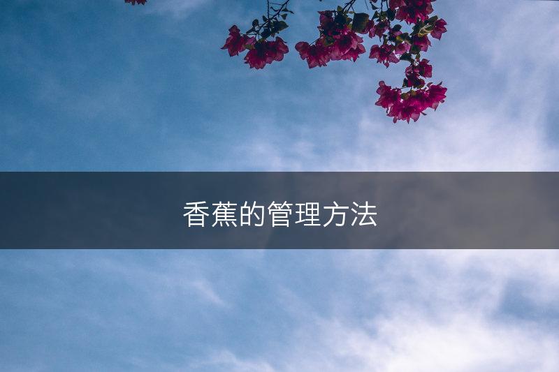 香蕉的管理方法(图1)