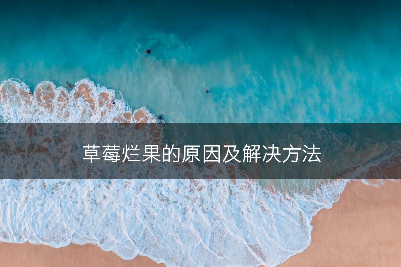 草莓烂果的原因及解决方法(图1)