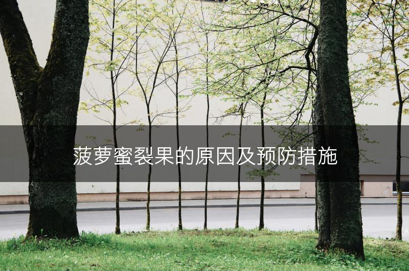 菠萝蜜裂果的原因及预防措施(图1)