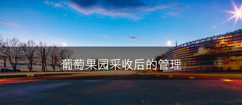 葡萄果园采收后的管理(图1) 葡萄果园采收后的管理(图1)