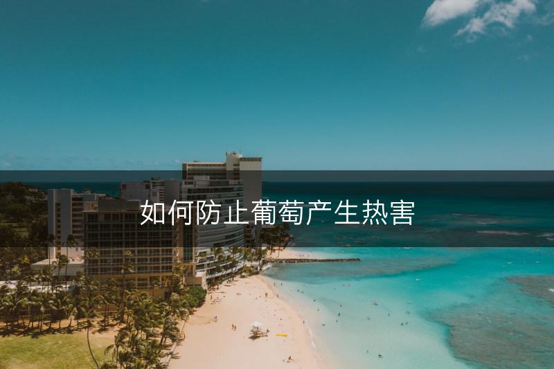 如何防止葡萄产生热害(图1)