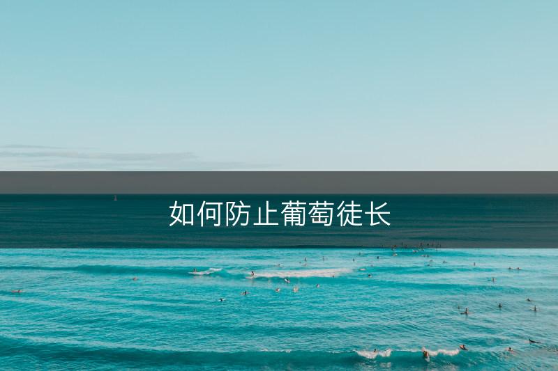 如何防止葡萄徒长(图1)