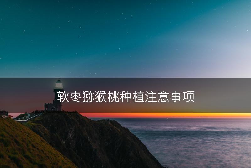 软枣猕猴桃种植注意事项(图1)