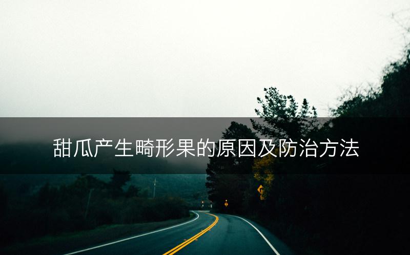 甜瓜产生畸形果的原因及防治方法(图1)