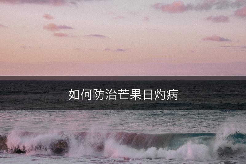如何防治芒果日灼病(图1)