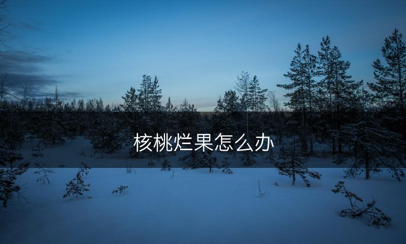 核桃烂果怎么办(图1)