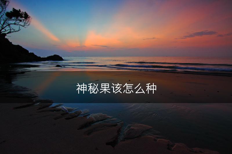 神秘果该怎么种(图1)