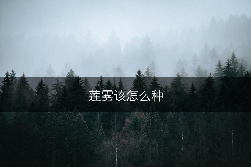 莲雾该怎么种(图1)
