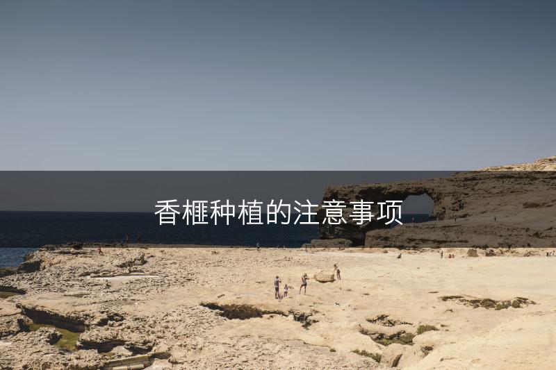 香榧种植的注意事项(图1)