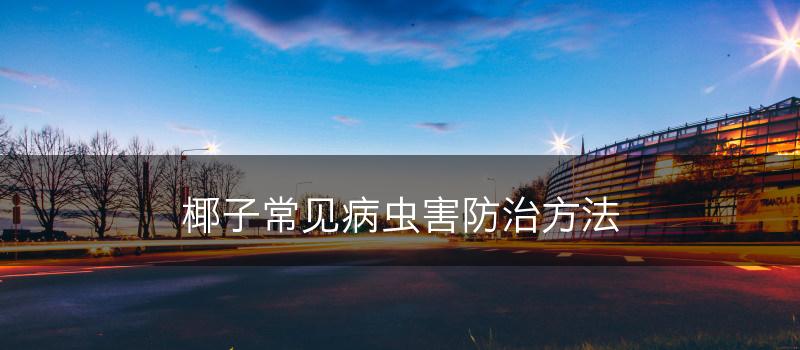 椰子常见病虫害防治方法(图1)