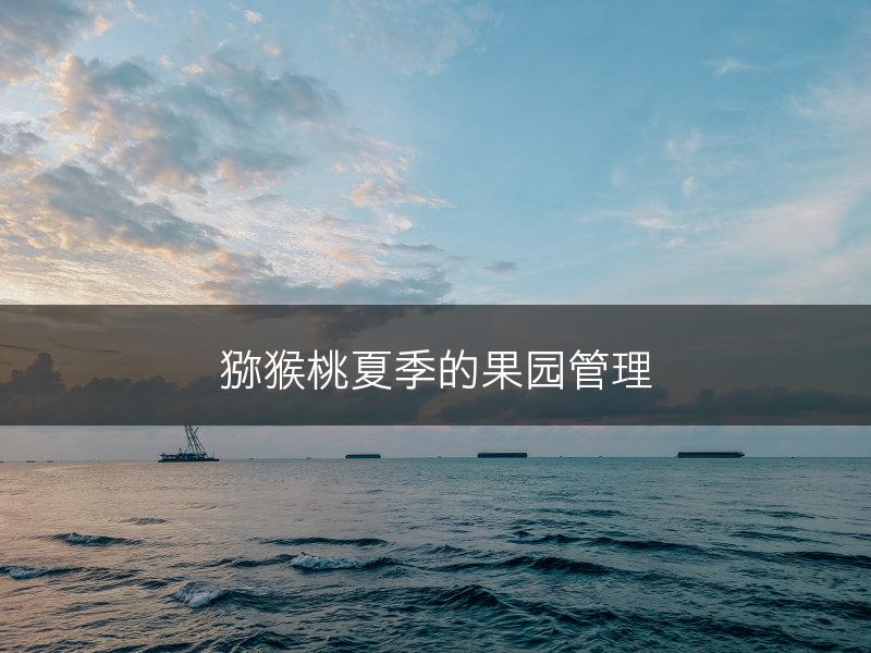 猕猴桃夏季的果园管理(图1)