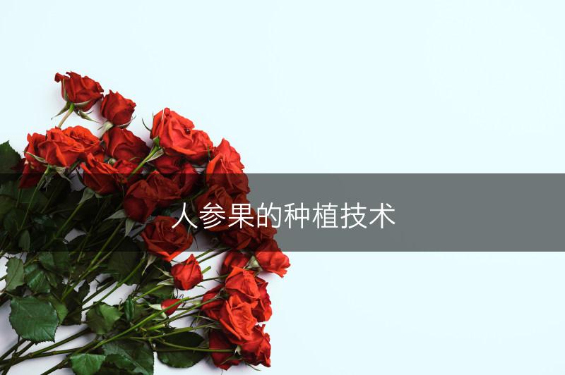 人参果的种植技术(图1)
