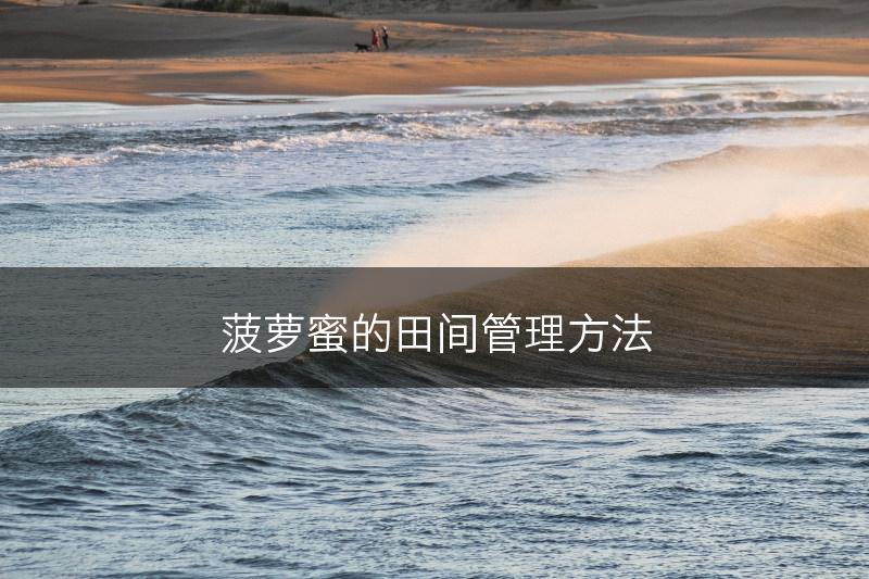 菠萝蜜的田间管理方法(图1)