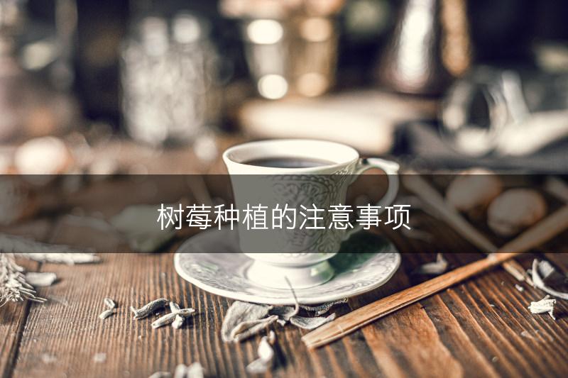 树莓种植的注意事项(图1)