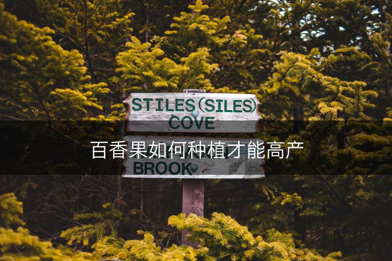 百香果如何种植才能高产(图1)