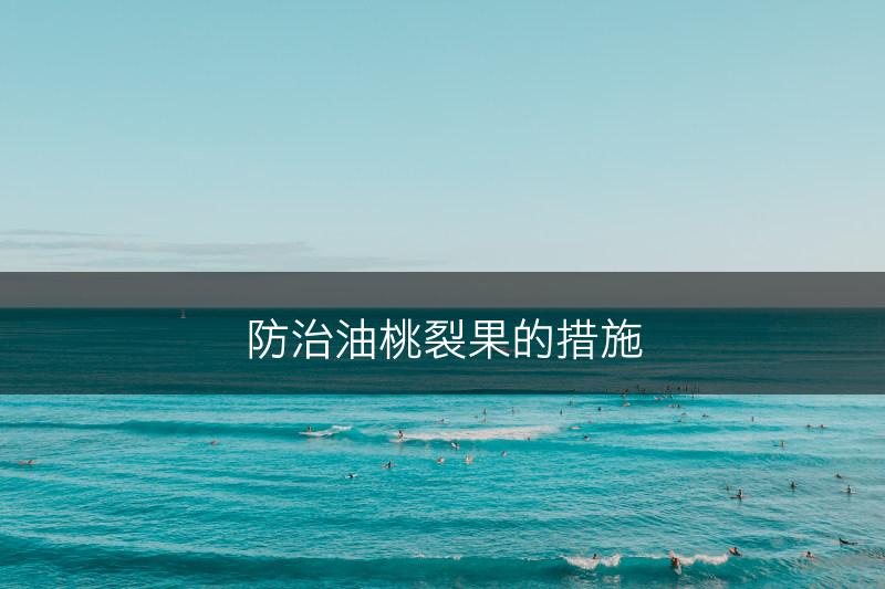 防治油桃裂果的措施(图1)