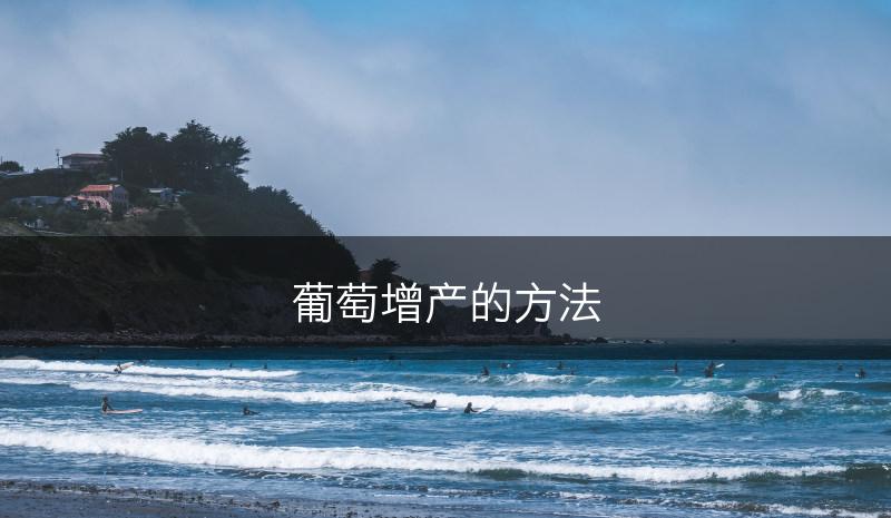 葡萄增产的方法(图1)