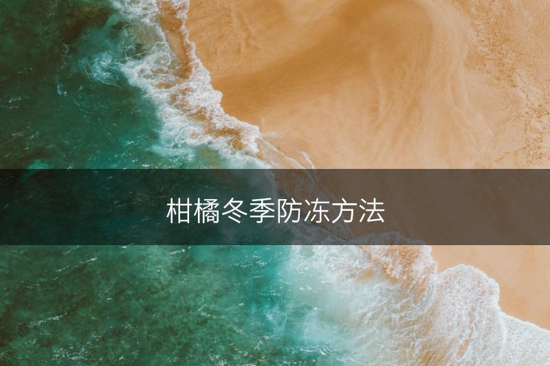 柑橘冬季防冻方法(图1)