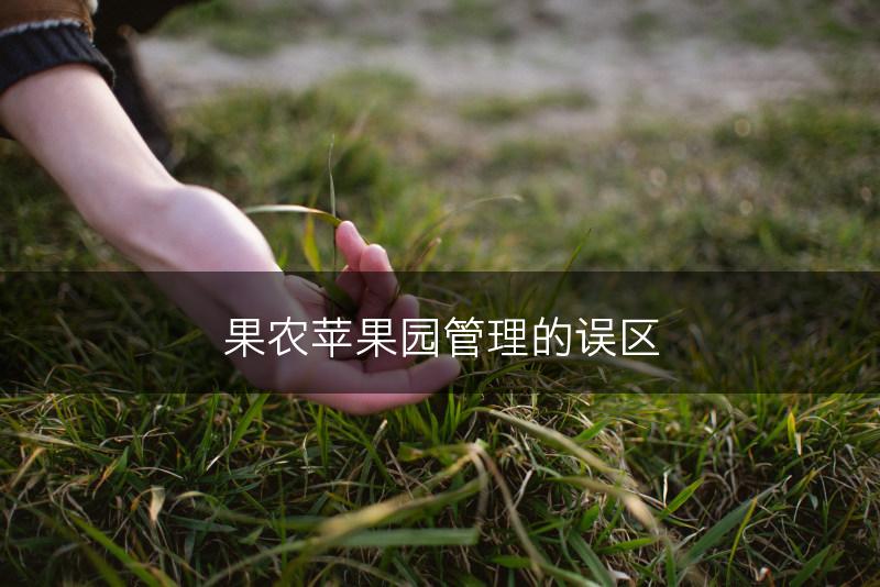 果农苹果园管理的误区(图1)