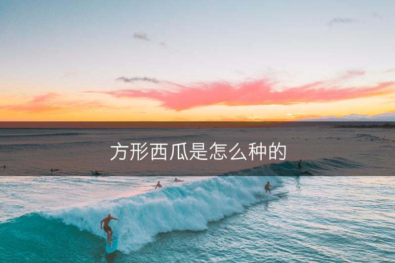 方形西瓜是怎么种的(图1)