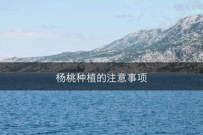 杨桃种植的注意事项(图1)