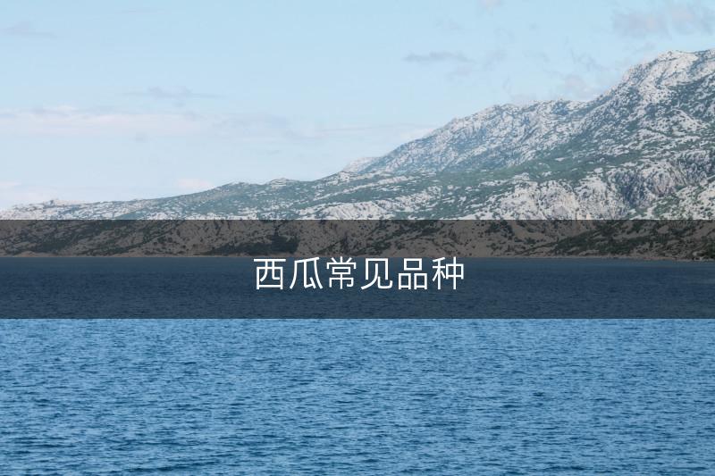 西瓜常见品种(图1)